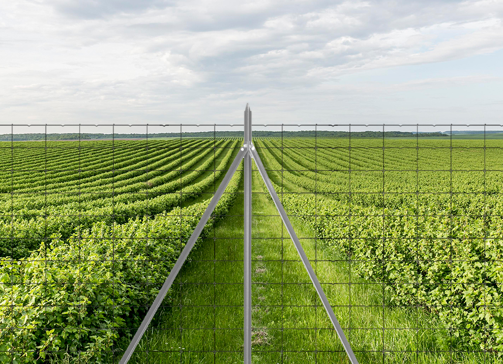 Grillage souple agricole et piquets T