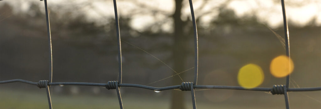 Grillage agricole noué