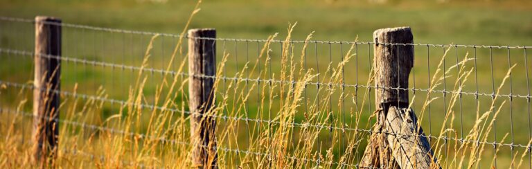 Grillage agricole