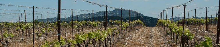 Grillage agricole