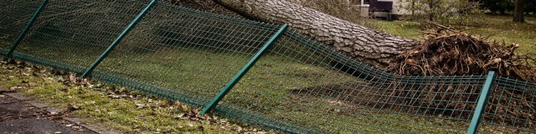 Clôture tombée après la tempête Nils