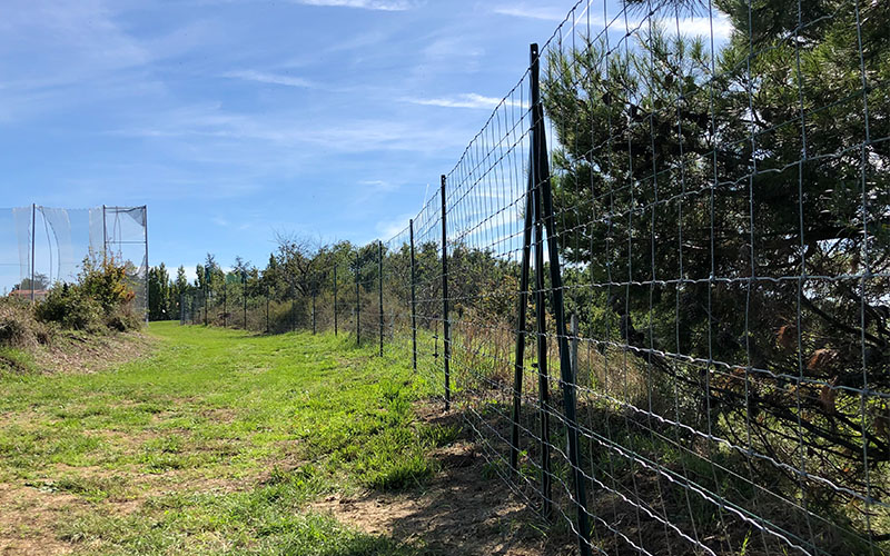 Hauteur légale d'un grillage souple